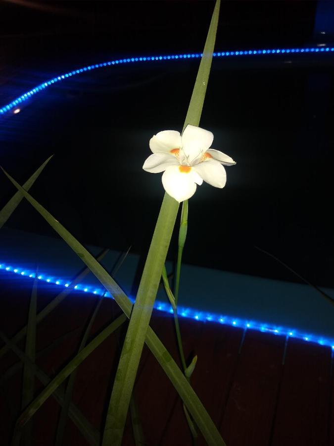 度假居 Do Rosa Piscina Compartilhada Imbituba (Santa Catarina)